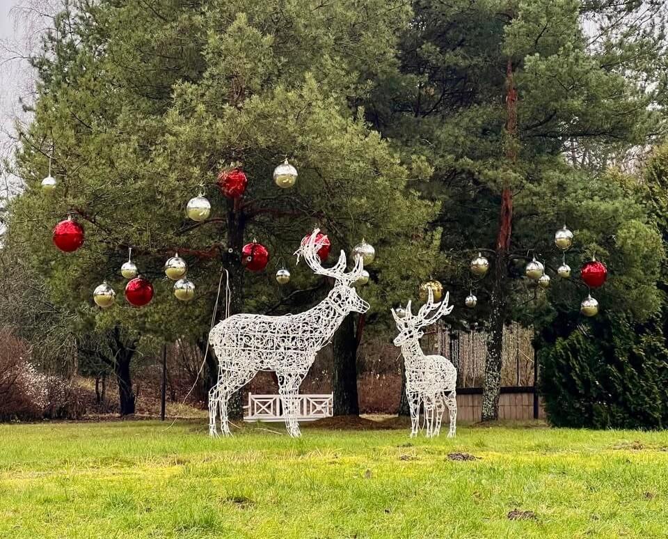Программа мероприятий декабрь